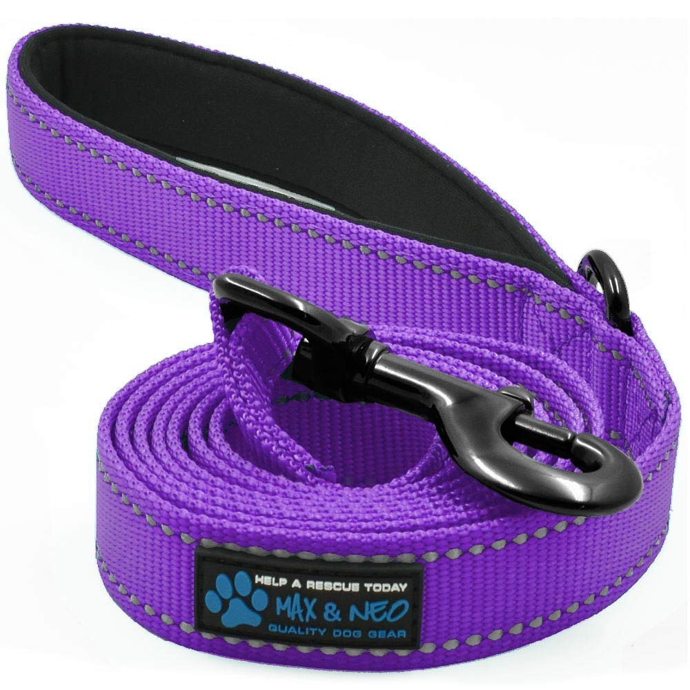 Dog Leash: Purple NWT 6-foot Nylon Reflective Dog Leash